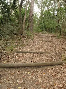 walking around the rangers house