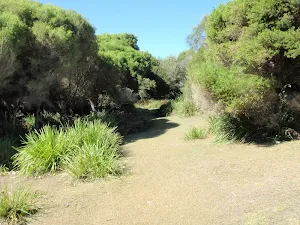 Track above Shelley Beach