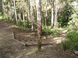 Steps near Disturbed creek