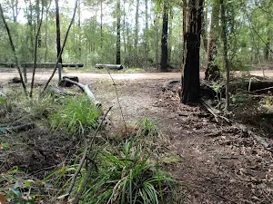Looking towards the road from Machins Crater track