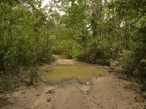 Puddle on German Point Rd in the Watagans