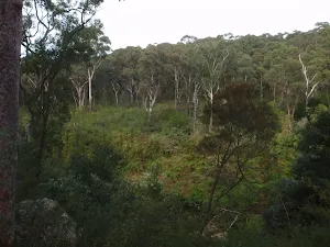 View from the track
