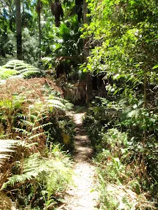 Start of the The Palm Tree Circuit Walk