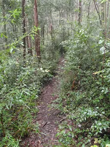 Track near Victory Track Pool