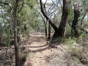 Highway Ridge track