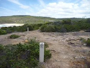Track and timber track markers in the Wallarah Pennisula