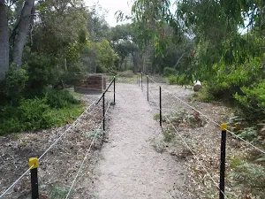 Track to beach Saltwater Creek camping area