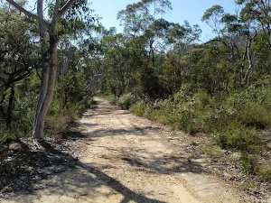 Walking along the Simpsons track