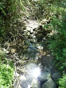 Flaggy Creek Waterfall