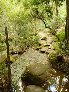 Creek crossing north of Provest Creek