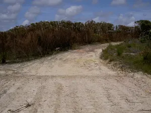 Mackerel Beach service trail