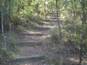 The trail between the Kiosk and Scenic World