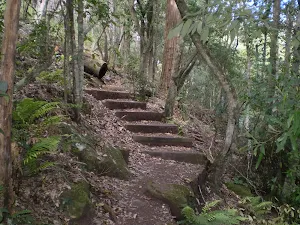 Going up to Lady Carrington Drive