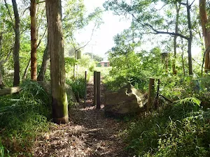 Track on Galgabba walk near Swansea