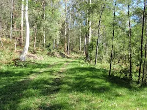 Grassy section of simpsons Track