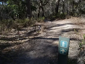 Arrow marker along track