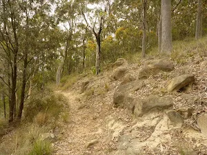 Rocky track near Mt Sugarloaf