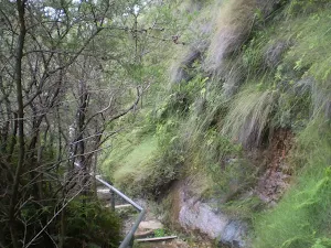 Overcliff Track
