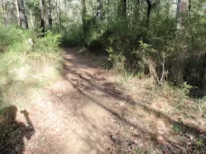 Oaks Cycleway