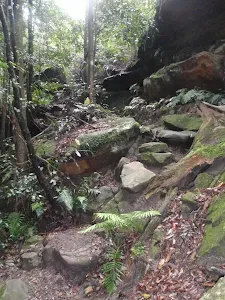 Victory Track near the road