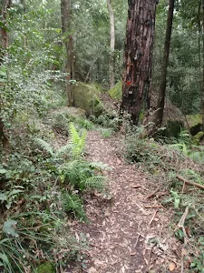 Arrow on tree marking track