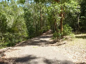 Trail by pond in Richley Reserve in Blackbutt Reserve