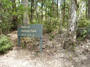 Wallarah National Park sign on the coastal track