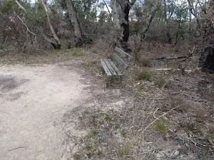 Bench alongside the track